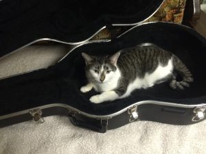 use original case when storing musical instruments