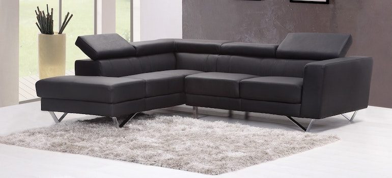black sofa on a gray carpet next to the window
