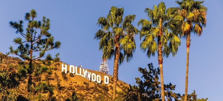 Hollywood sign and palm trees