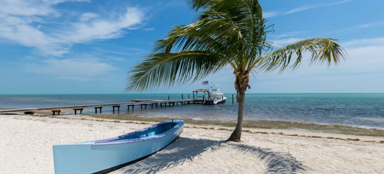 A boat and a palm three on the sunny beach with a wooden pier in the sea and a boat tied to the pier that the best company for your local relocation brought you to