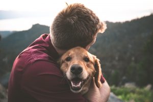 owner hugging a pet