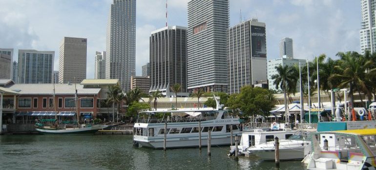 Miami port at day