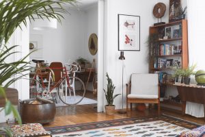 Room with many things, including sofa, chair, pot-plants and a bicycle. 
