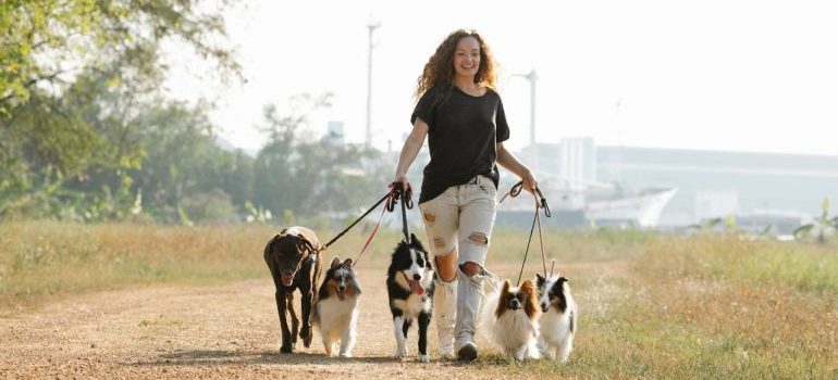 A woman takign her dogs for a walk