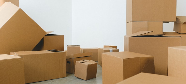 cardboard boxes in a white room