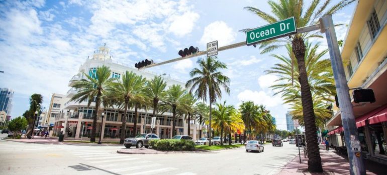 Beautiful streets with palm trees are one of the reasons to move to Miami this spring.